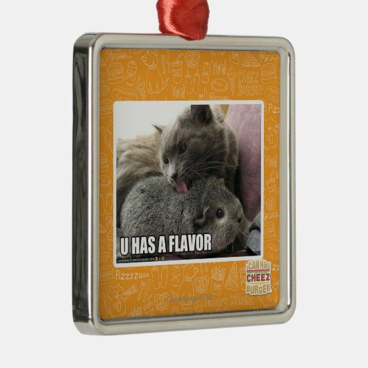 U HAT EIN AROMA SILBERNES ORNAMENT (Rechts)