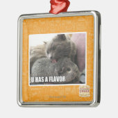 U HAT EIN AROMA SILBERNES ORNAMENT (Links)