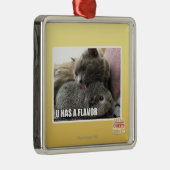 U HAT EIN AROMA SILBERNES ORNAMENT (Rechts)