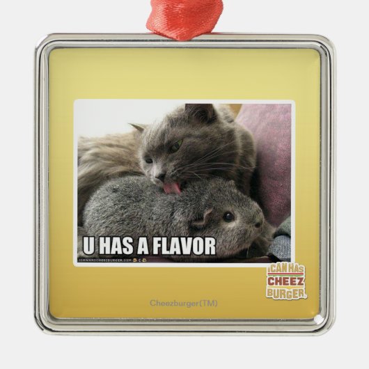 U HAT EIN AROMA SILBERNES ORNAMENT (Vorne)