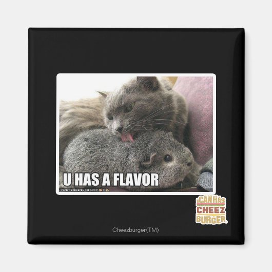 U HAT EINEN FLAVOR MAGNET (Vorne)