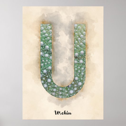 U is For Urchin Poster (Vorne)