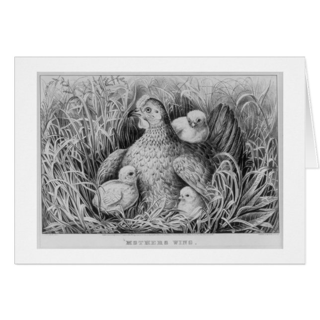 u., Mutterflügel (Vorderseite (Horizontal))