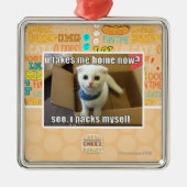 U nehmen mir Zuhause jetzt? Ornament Aus Metall (Vorne)