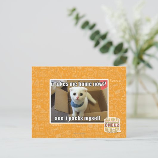 U nehmen mir Zuhause jetzt? Postkarte (Stehend Vorderseite)