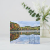 U. P. Michigan Fall Reflections Postkarte (Stehend Vorderseite)