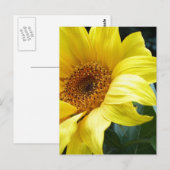 U R my Sunflower Postkarte (Vorne/Hinten)