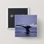 U.S.A., Alaska, Inside Passage Humpback Wal Button (Vorne & Hinten)