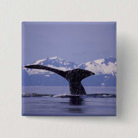 U.S.A., Alaska, Inside Passage Humpback Wal Button (Vorderseite)
