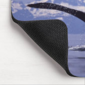U.S.A., Alaska, Inside Passage Humpback Wal Mousepad (Ecke)