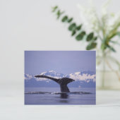 U.S.A., Alaska, Inside Passage Humpback Wal Postkarte (Stehend Vorderseite)