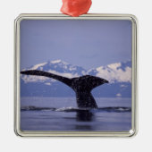 U.S.A., Alaska, Inside Passage Humpback Wal Silbernes Ornament (Vorne)