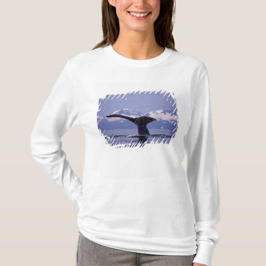 U.S.A., Alaska, Inside Passage Humpback Wal T-Shirt (Vorderseite)