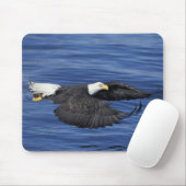 U.S.A., Alaska, Kenai Halbinsel Adler Mousepad (Mit Mouse)
