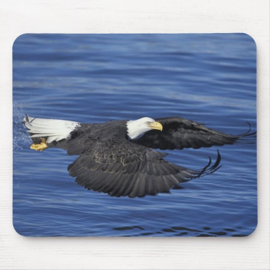 U.S.A., Alaska, Kenai Halbinsel Adler Mousepad (Vorne)