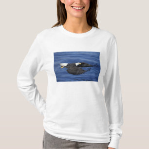 U.S.A., Alaska, Kenai Halbinsel Adler T-Shirt