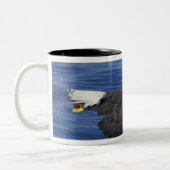U.S.A., Alaska, Kenai Halbinsel Adler Zweifarbige Tasse (Links)