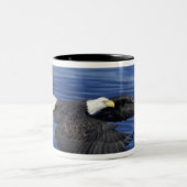 U.S.A., Alaska, Kenai Halbinsel Adler Zweifarbige Tasse (Mittel)