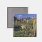 U.S.A., Arizona, Organ Pipe National Monument. Magnet (Vorderseite/Rückseite)