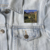 U.S.A., Arizona, Orgel Pipe National Monument. Button (Beispiel)