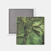 U.S.A., Washington, Olympic National Park. Magnet (Vorderseite/Rückseite)