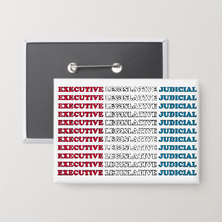 U.S. Checks & Balances Button