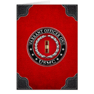 U.S. Marines: Anweisungsbefugter 1 (USMC WO-1) [3D