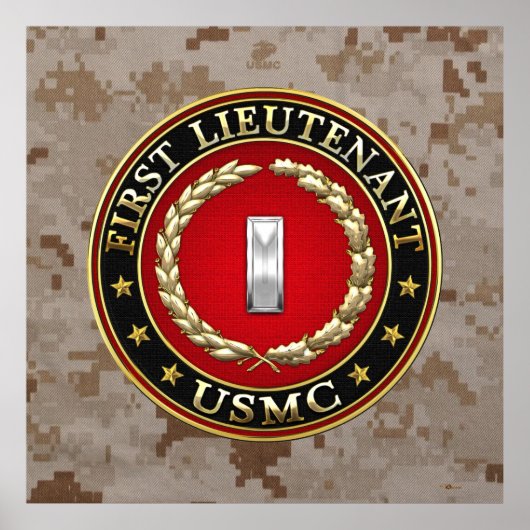 U.S. Marines: Erster Leutnant (USMC 1stLt) [3D] Poster (Vorne)