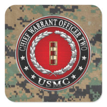 U.S. Marines: Hauptbefehl Zwei (USMC CWO-2) [3D]