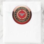 U.S. Marines: Oberst (USMC Col) [3D] Runder Aufkleber (Tasche)