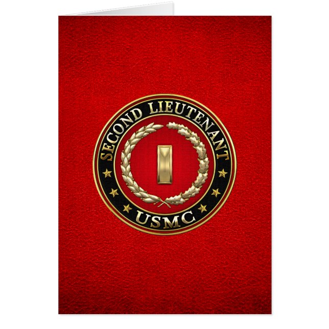 U.S. Marines: Zweiter Leutnant (USMC 2ndLt) [3D] (Vorne)