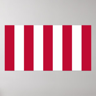 U.S. Söhne der vertikalen Streifen-Flagge der Poster