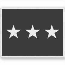 U.S. Space Force Brigadegeneral flag