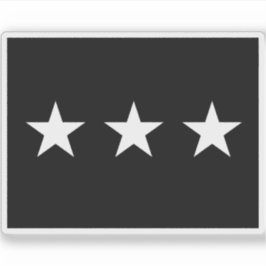 U.S. Space Force Brigadegeneral flag Aufkleber