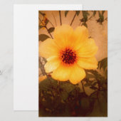 U Shine_ Briefpapier (Vorne/Hinten)