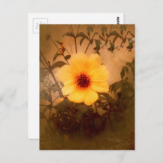 U Shine_ Postkarte (Vorne/Hinten)