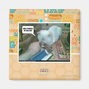 U stieß mir ins Gesicht! Magnet