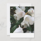 UAwg-Antwortkarte der weißen Blume RSVP Karte (Rückseite)