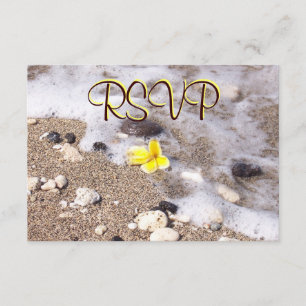 UAWG Guest Reply Enclosure Seashells, Plumeria RSVP Karte