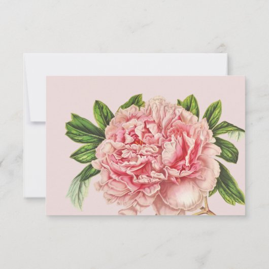 UAWG REPLY RESPONSE Chic pink floral peal Blume RSVP Karte (Rückseite)