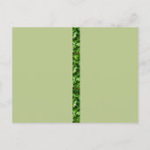 UAWG und Hochzeitsreise Postkarte (Rückseite)