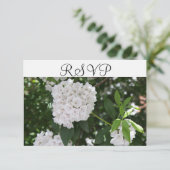 UAWG White Wedding Mountain Laurel RSVP Karte (Stehend Vorderseite)