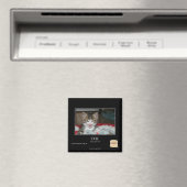 Übel Magnet (In Situ (Geschirrspüler))