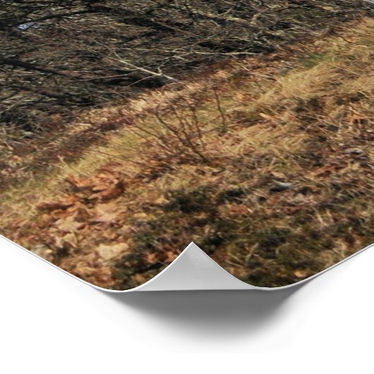 Übelkeit Lighthouse Poster (Ecke)