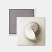 Übelkeit, pearlisiert, Muschel 2 Magnet (Vorderseite/Rückseite)