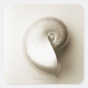 Übelkeit, pearlisiert, Muschel 2 Quadratischer Aufkleber