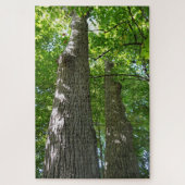 Über 1.000 Stück Puzzle, Baum Puzzle (Vertikal)