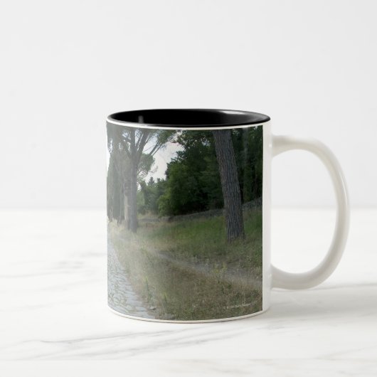 Über Appia Appian Weise römische Fahrbahn Zweifarbige Tasse (Rechts)