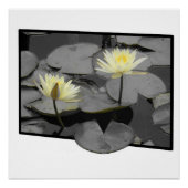 Über das Glossy Poster hinaus blühen (Vorderseite)