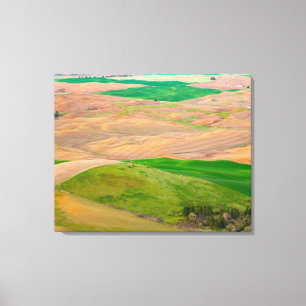Über dem bemalten Palast von Steptoe Butte Leinwanddruck